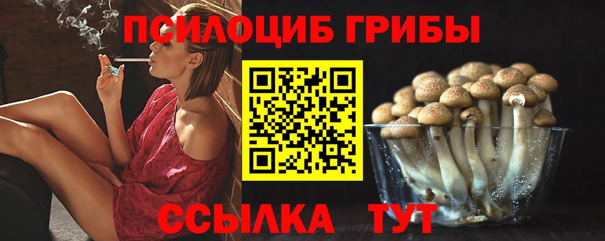 Галлюциногенные грибы MAGIC MUSHROOMS  Вход с VPN  Шатура 